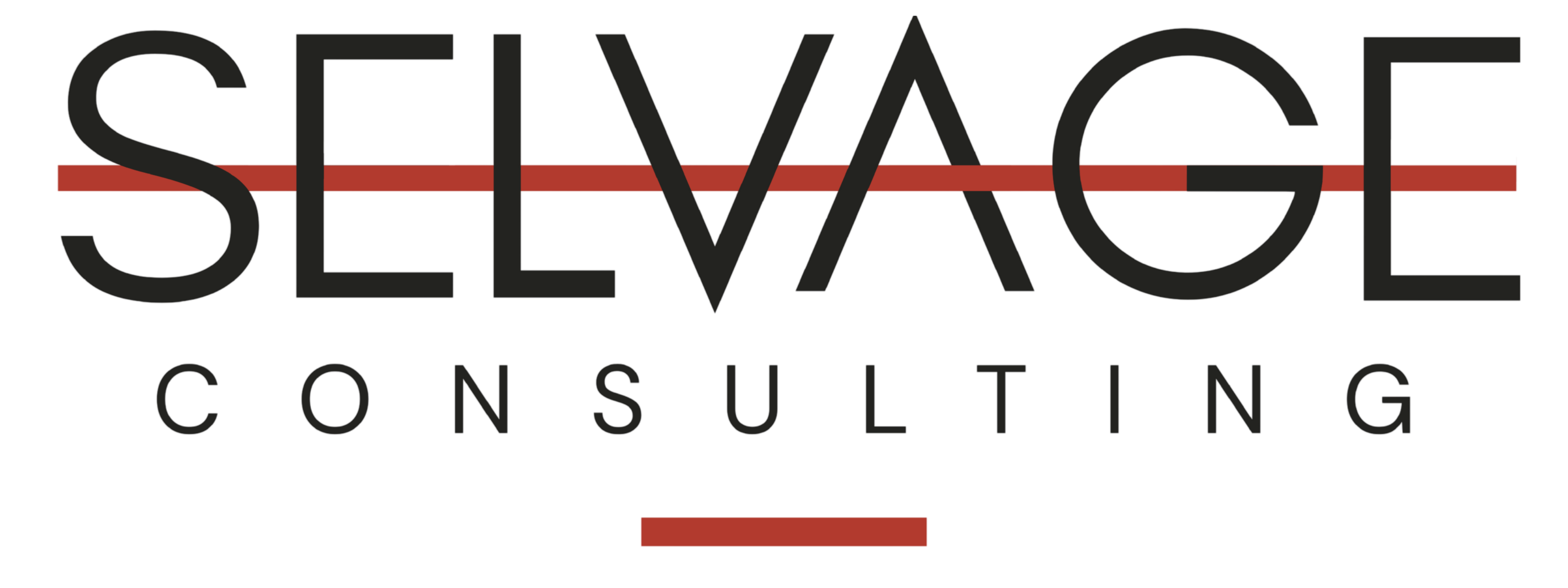 Selvage Consulting